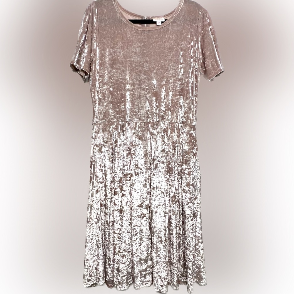 LuLaRoe Velvet Midi Dress in Blush